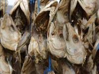 Die getrockneten Fischköpfe riechen streng